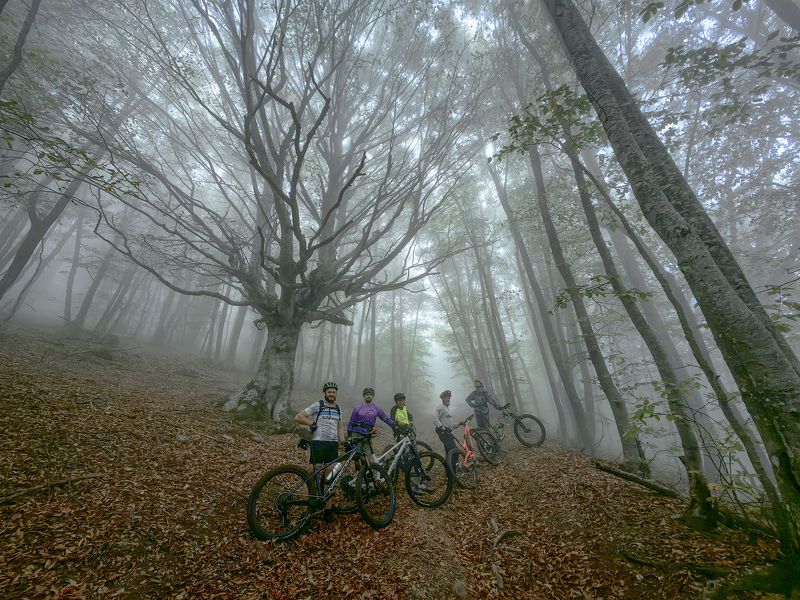 крым Туманный подъём в гору фото превью