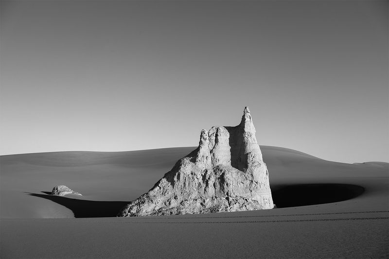 Penguinphoto preview