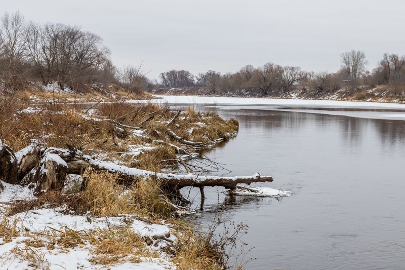 Снег выпал в декабре...photo preview