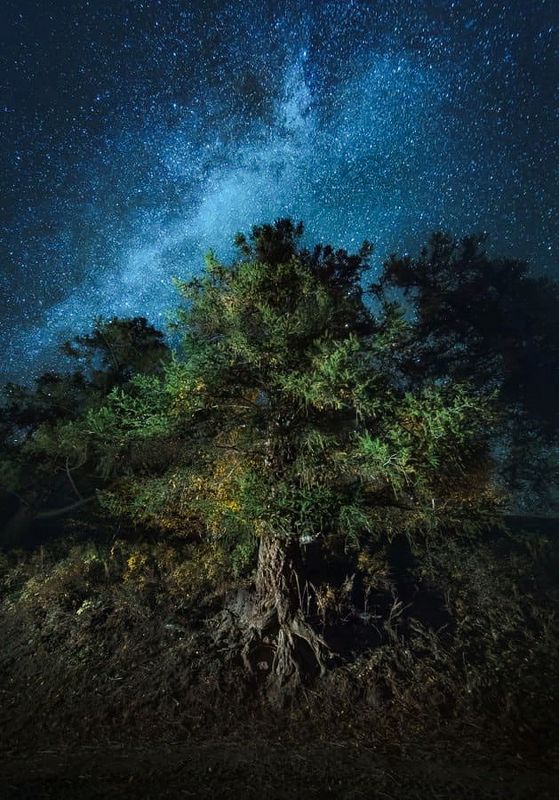 Маркаколь, Восточный Казахстанphoto preview