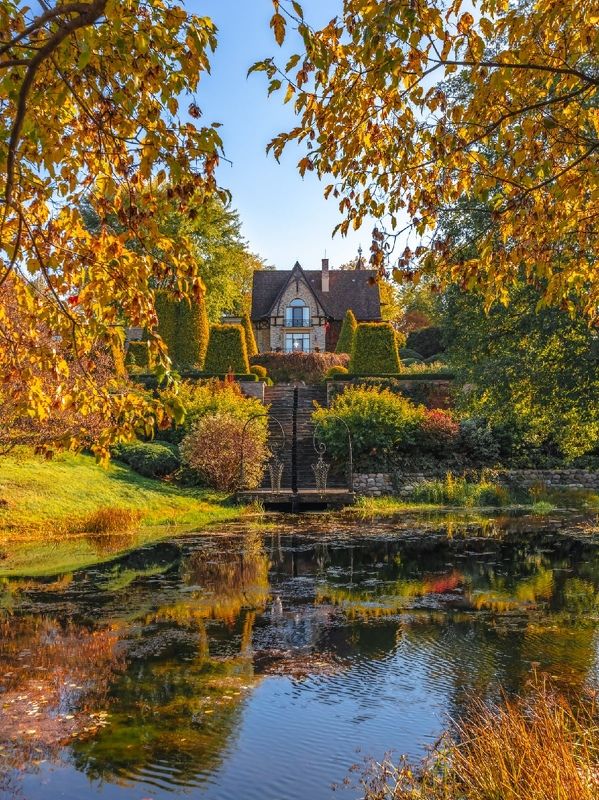 осень,усадьба ореховно,псков,псковская область,пейзаж Усадьба Ореховноphoto preview