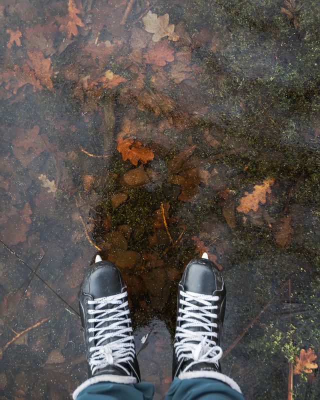 Застывший ноябрьphoto preview