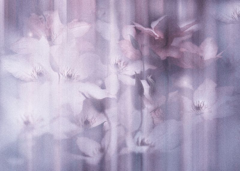 Бабочки..photo preview