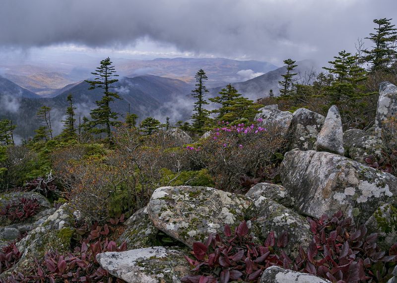 Тайга, горы, туман photo preview