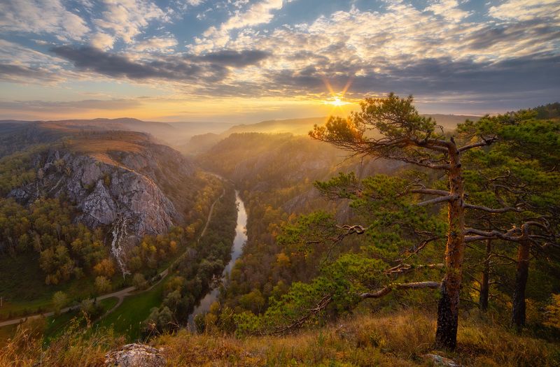 дерево осень закат пейзаж photo preview