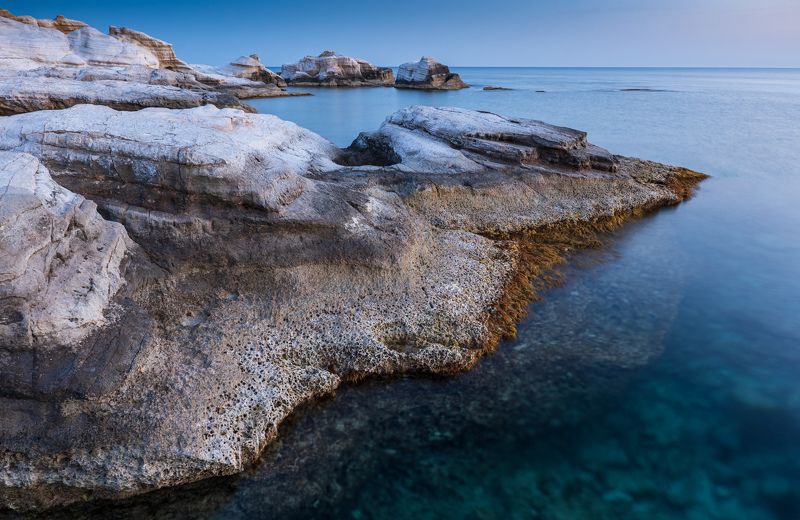 Planet Xphoto preview