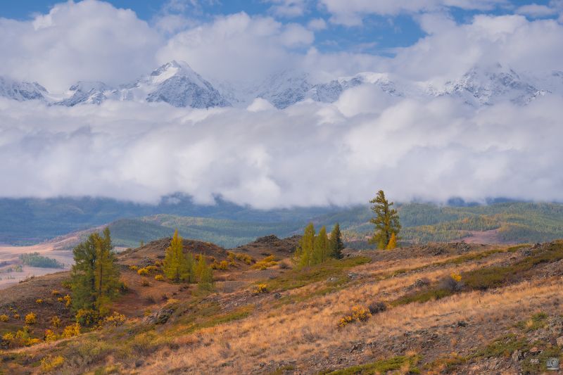 Северо-чуйский хребет в облакахphoto preview