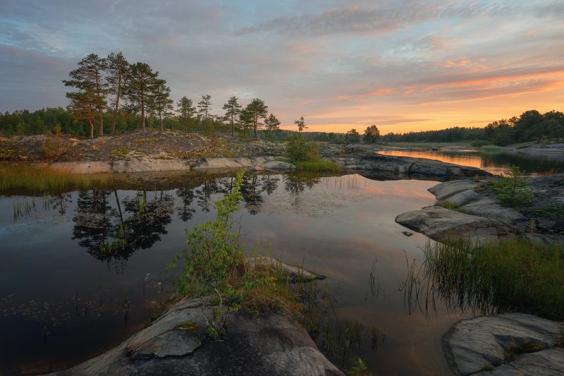 И на камнях растут деревьяphoto preview