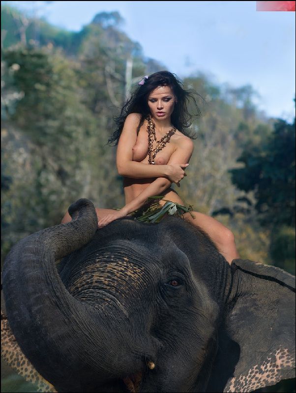 Bone Elephant (vers 2.0)photo preview