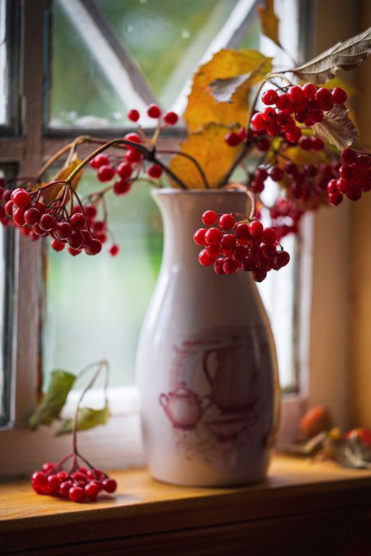 Калина красная... фото превью