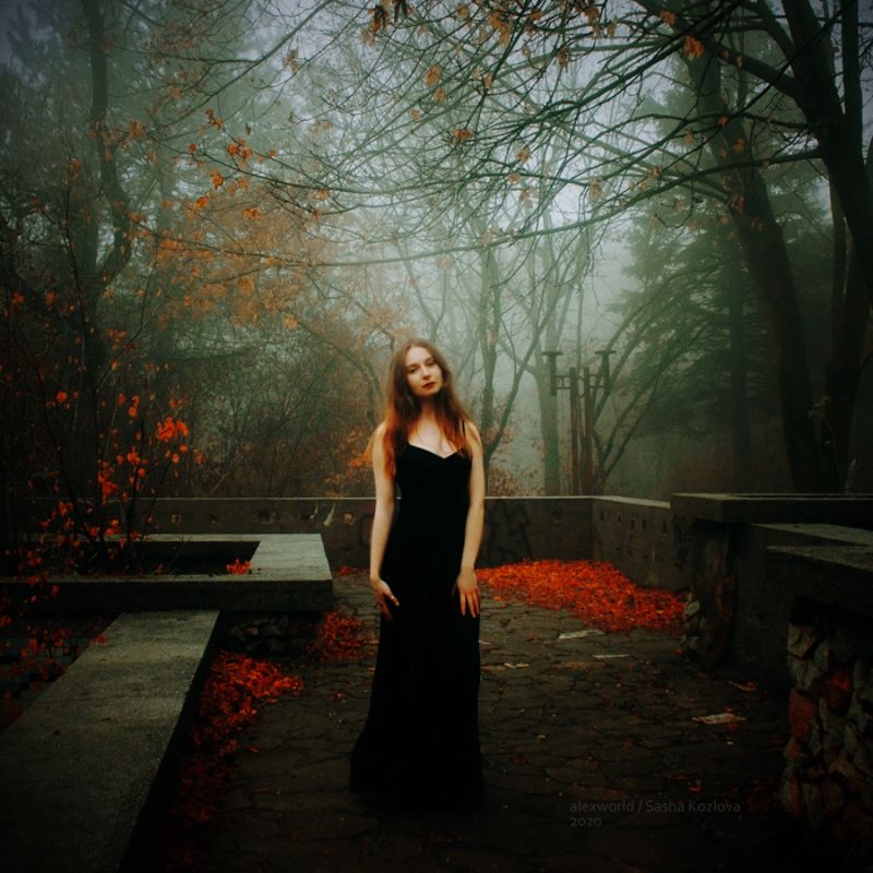 Untitledphoto preview