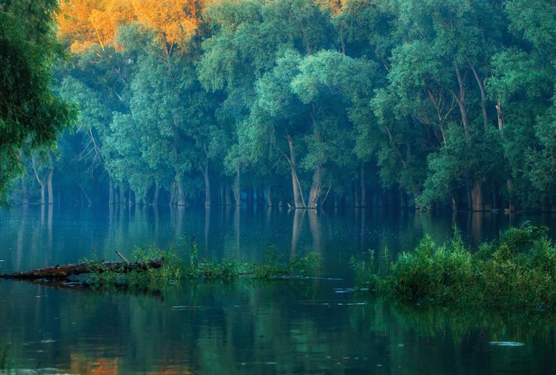 Весна на Иртышеphoto preview