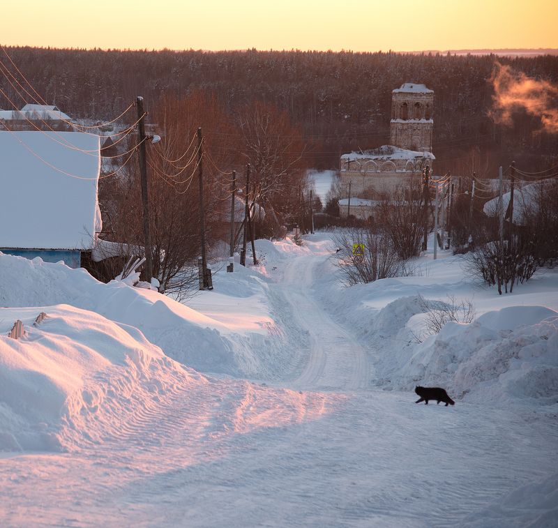 Если черный кот дорогу перейдет... photo preview