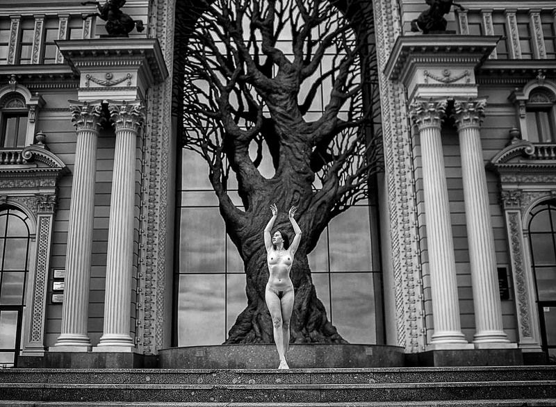 Аллаphoto preview