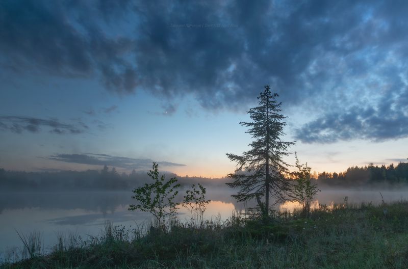 луга, ленобласть, пейзаж, рассвет, туман,  landscape, nature, природа, foggy, forest, болото, ленинградская область Начало белых ночейphoto preview