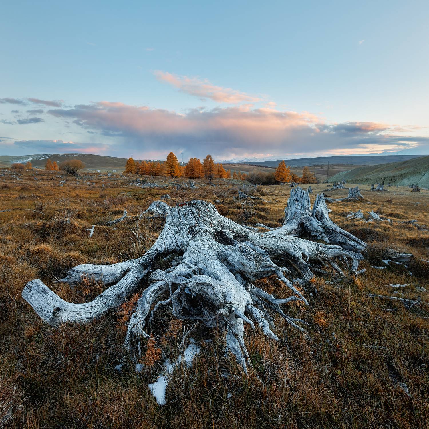 , Загруев Михаил