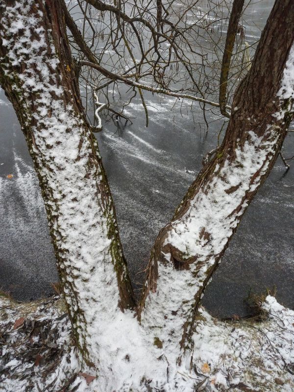 Декабрьphoto preview