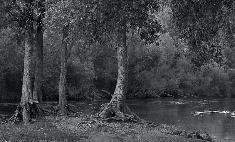 На речке Бирь клёвое местоphoto preview