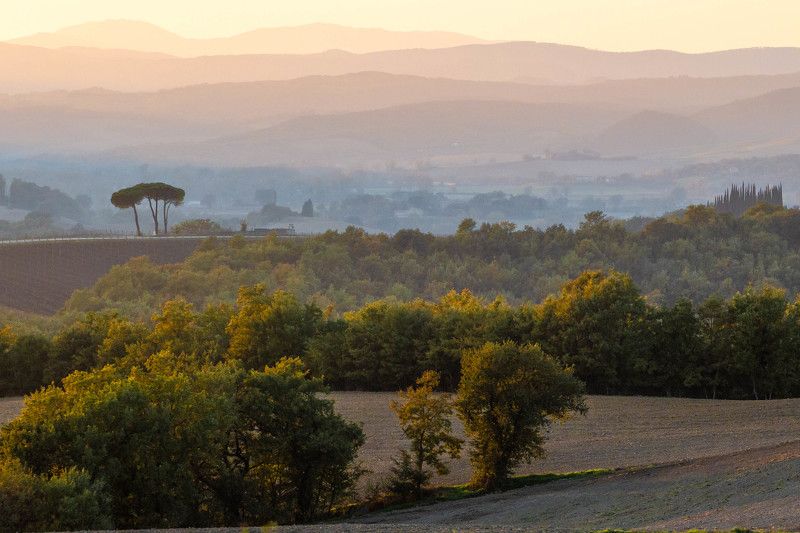 Вечерний пейзажphoto preview