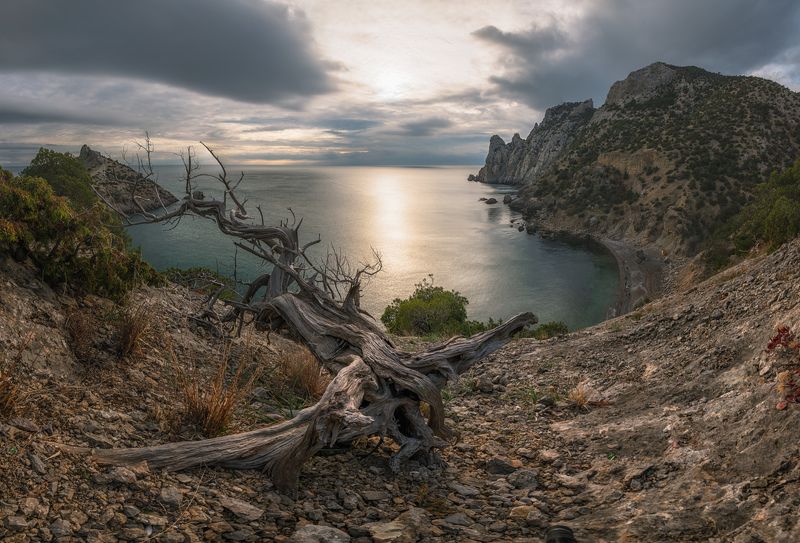 крым, новый свет, караул оба, вечер, декабрь В тишине декабряphoto preview