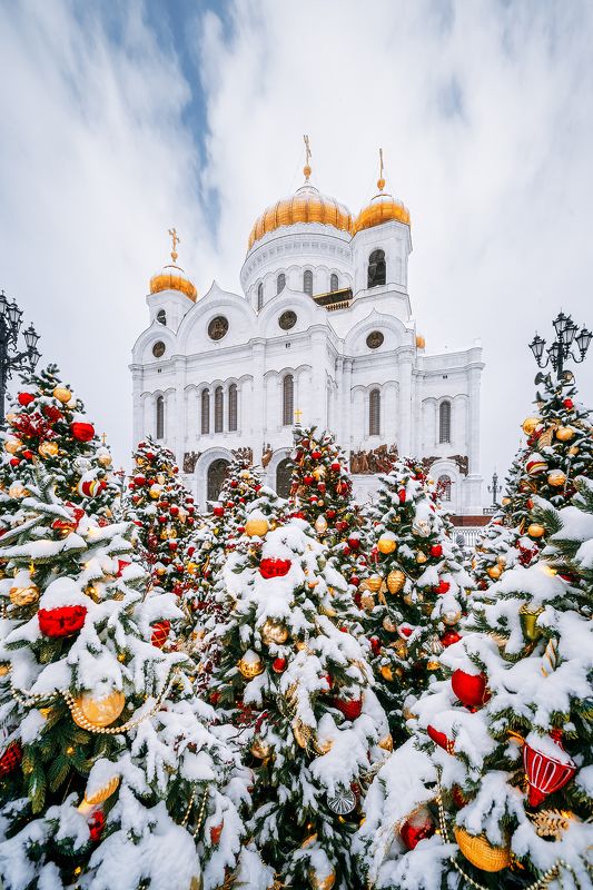 ххс, зима, елки, новогодние украшения, new year, рождество, храм Христа Спасителя, moscow, winter ХХСphoto preview