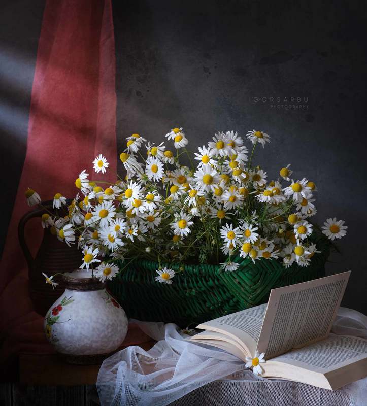 Chamomilephoto preview