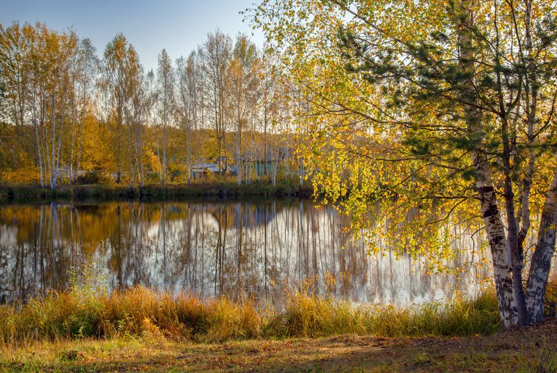 серково утро  октябрь чёрная порза Время. Октябрь. фото превью