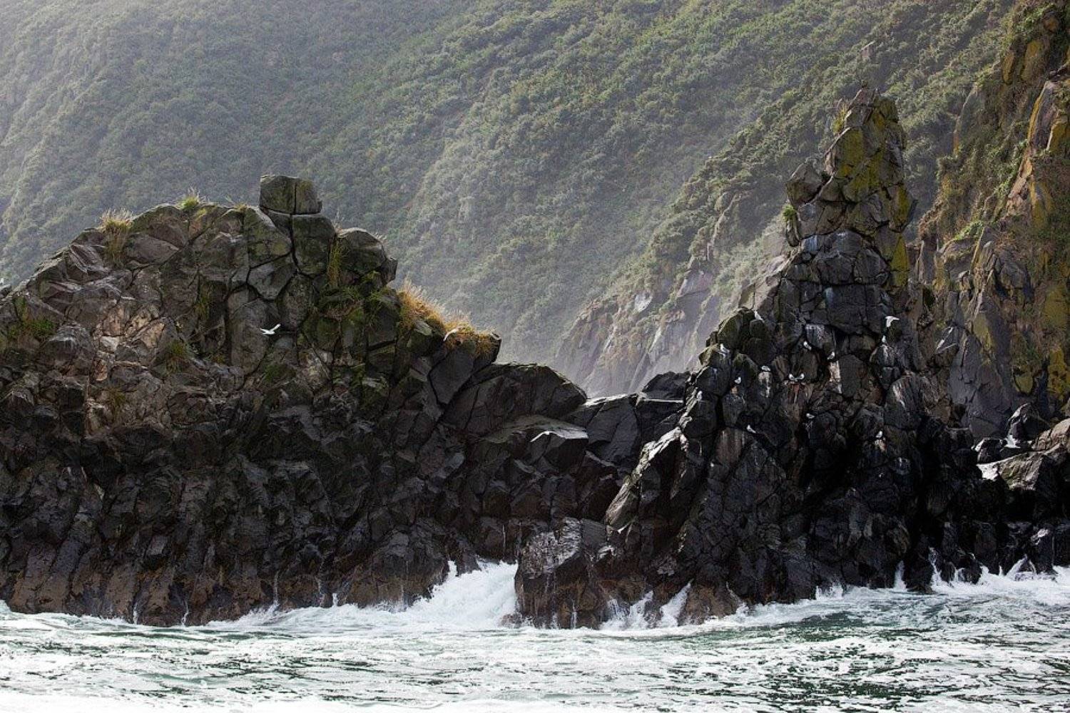 камчатка, тихий океан, Скиталец