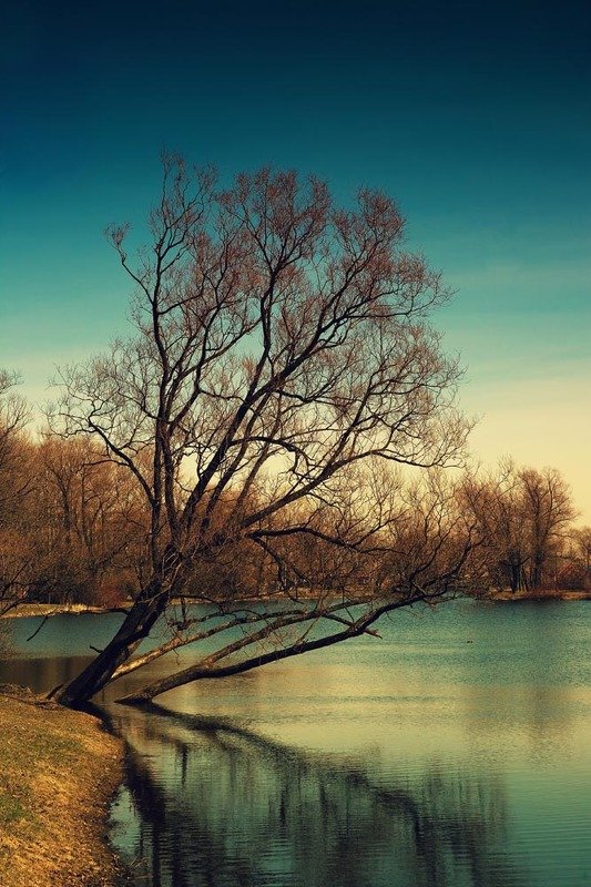 отражения весныphoto preview