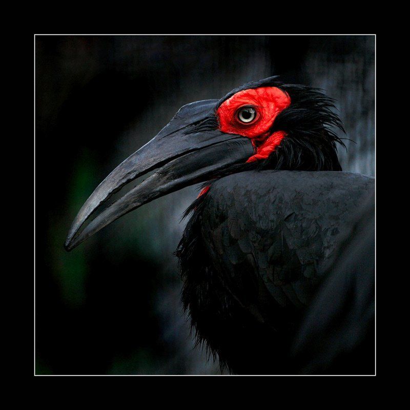 Маскаphoto preview