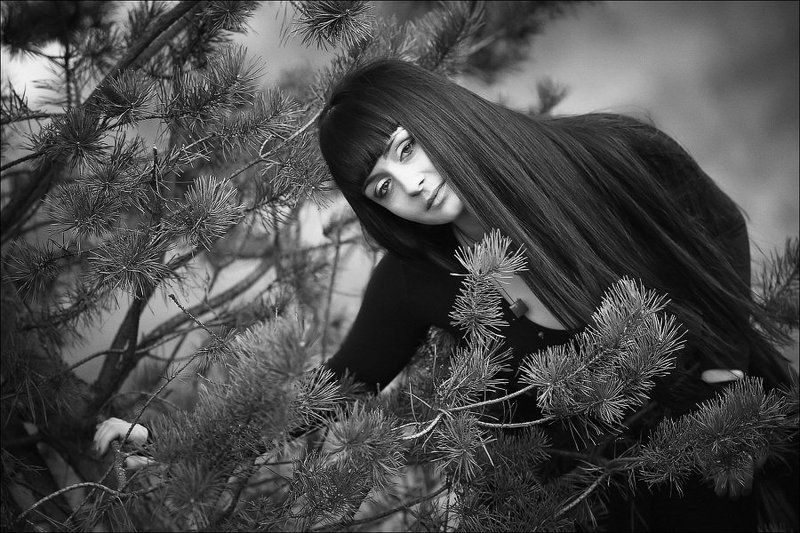 * * * фото превью