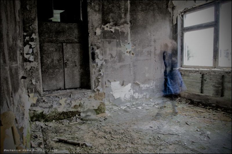 dreams photo preview