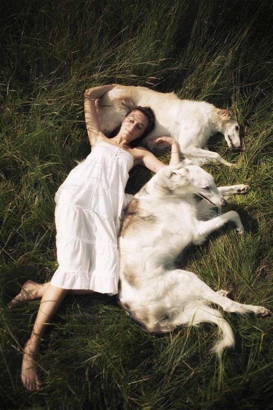 Летний сонphoto preview