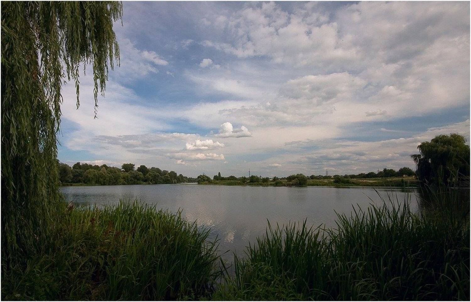 река, камыш, Игорь Шевченко