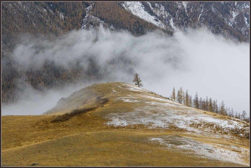 Господствующие ветраphoto preview