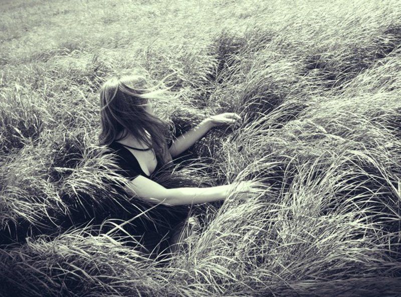 поле, ветер, волны greenwavesphoto preview