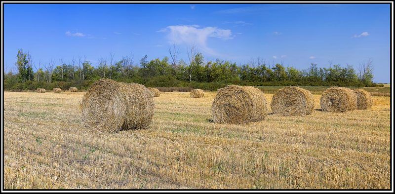 каталыphoto preview