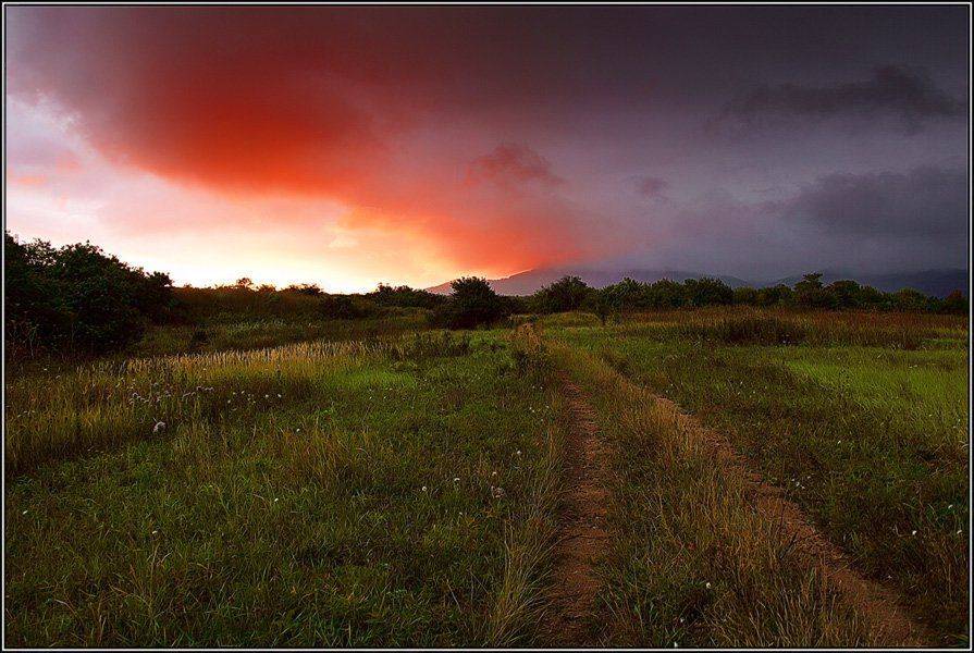 Свет и Тьма,но дорога одна... Автор: klepa , klepa
