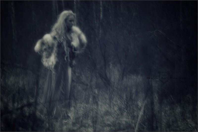 Сумеркиphoto preview