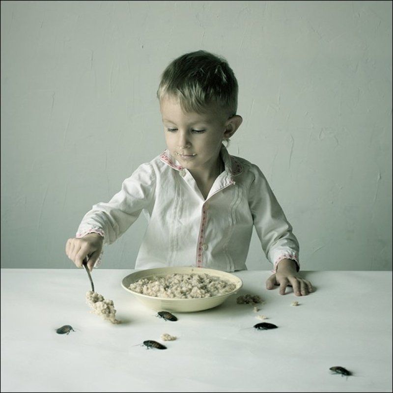 помошники с Мадагаскара...photo preview