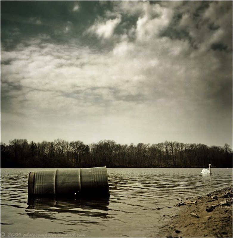 пейзаж, pilgrim, пленка Reality...photo preview