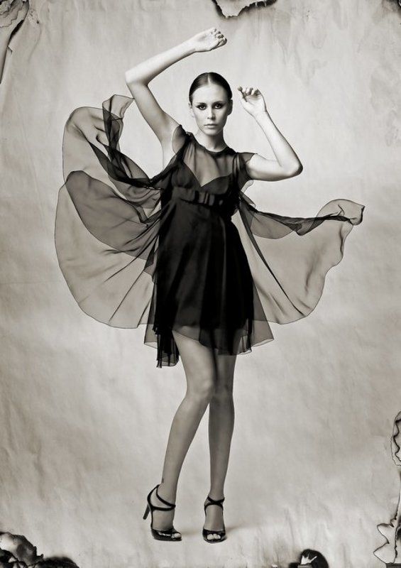 Батерфляй фото превью