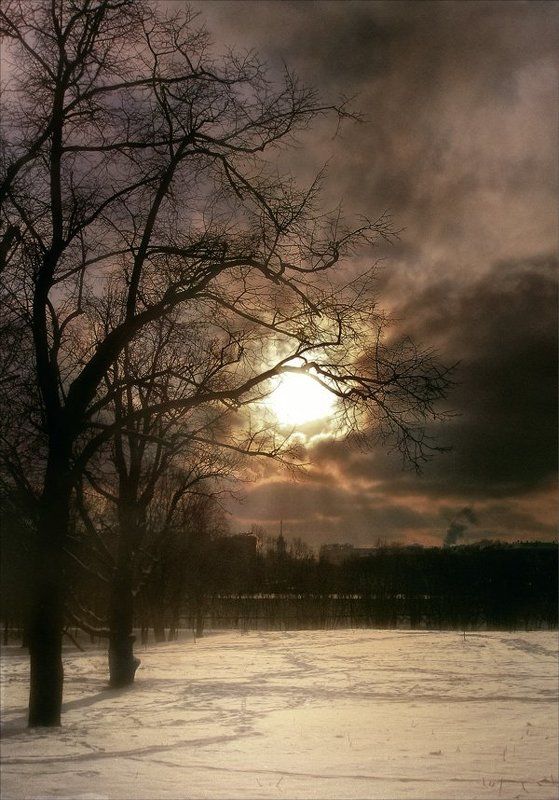 Страшные сказки зимыphoto preview