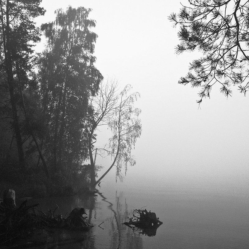 фото_6photo preview