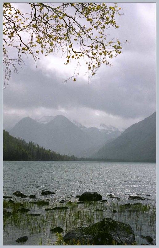 Мульта-1photo preview