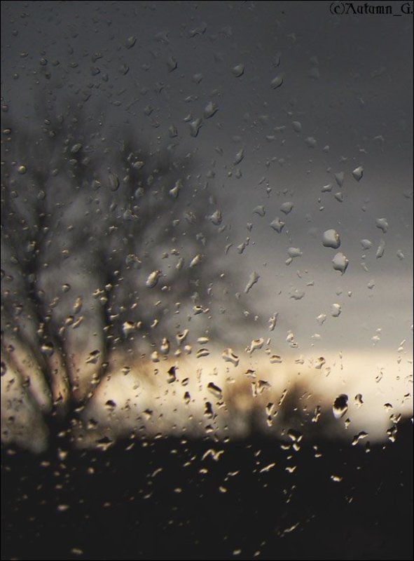 весна, таганрог когда весна оплакивала март...photo preview