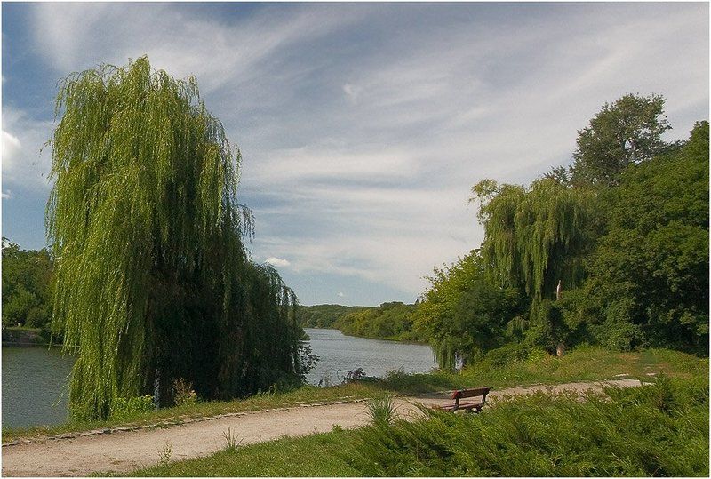 парк, пруд, ива Место для отдыхаphoto preview