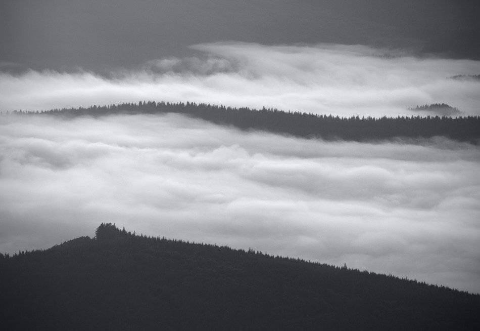 карпаты, природа, пейзаж, горы, панорама, Piligrim