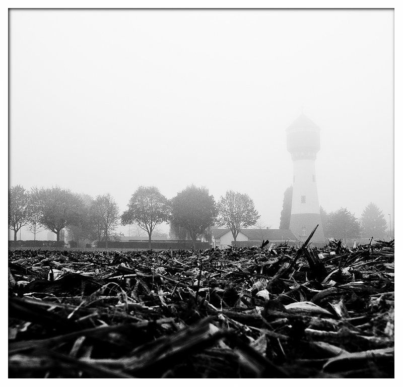 Туман и маякphoto preview