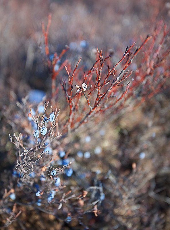 магадан ...photo preview